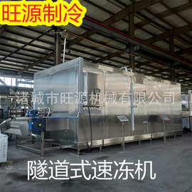 桂林酸笋速冻机 单螺旋柜式竹笋莴笋丝急速冷冻机 低温速冻箱