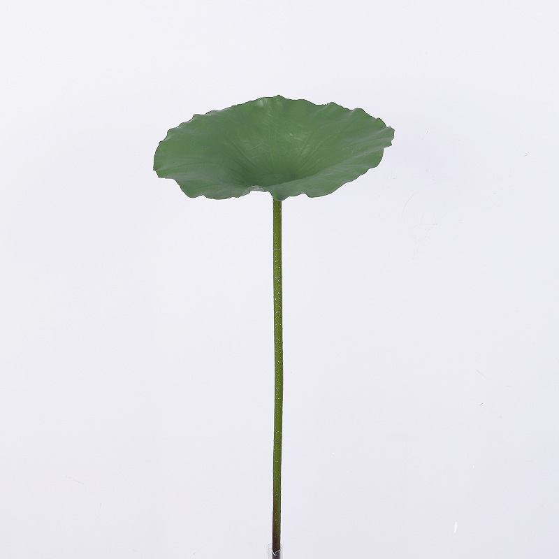 연꽃 잎 (녹색) 매체