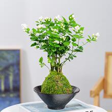 ����̦�\�򎧻����l؛�ļ��_���҃��k���Ҳ����Gֲ�����՚�