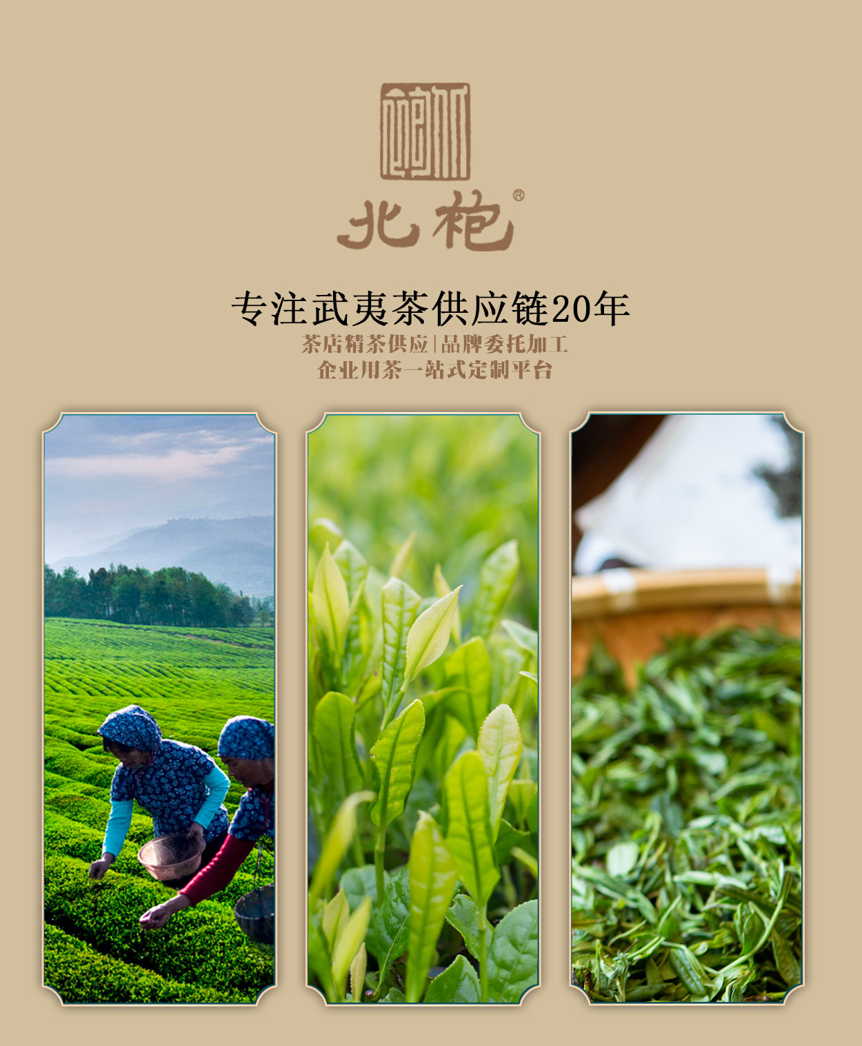 龙修改的定制详情页_01