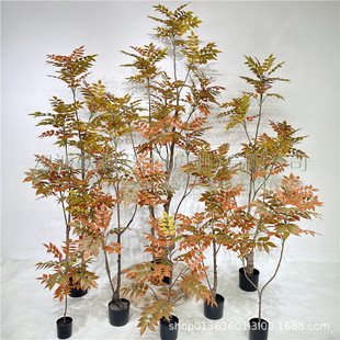 ����ֲ���¿���ľ����㴻�������挍�ָ��m���쾰����