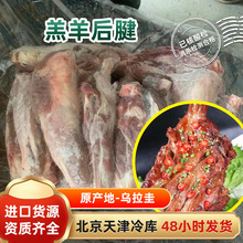 羊后腿棒带肉 冷冻半成品 羊骨头羊腱子熬汤炖汤羊肉火锅食材批发