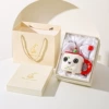 359 red birthday dog with spoon (beige gift box gift bag)
