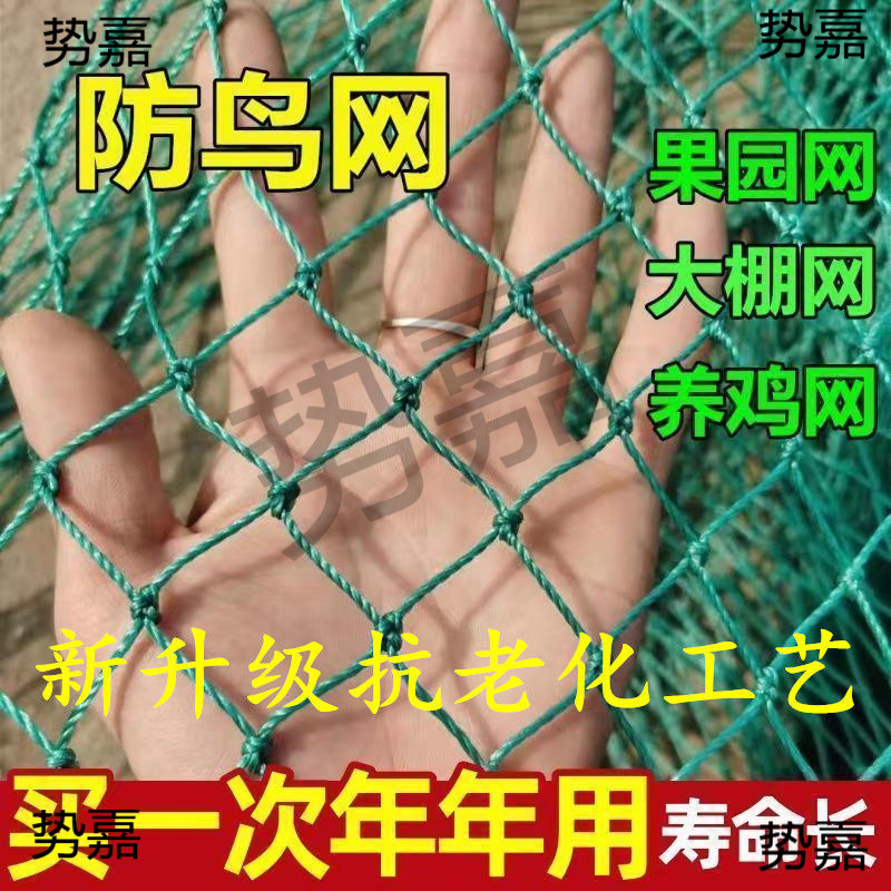 樱桃鱼塘莓新料果园防鸟网抗老化通风口大棚葡萄防鸟养鸡围栏网