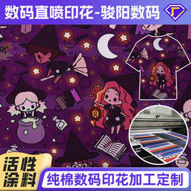 定制数码直喷印花加工拉架平纹面料有机棉布料尼龙梭织布数码印花