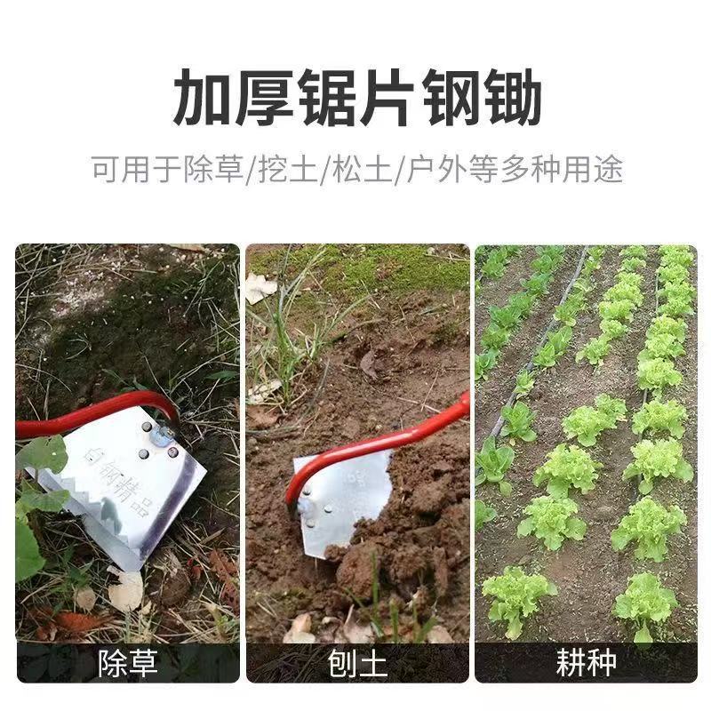 微信图片_202504091130101.jpg