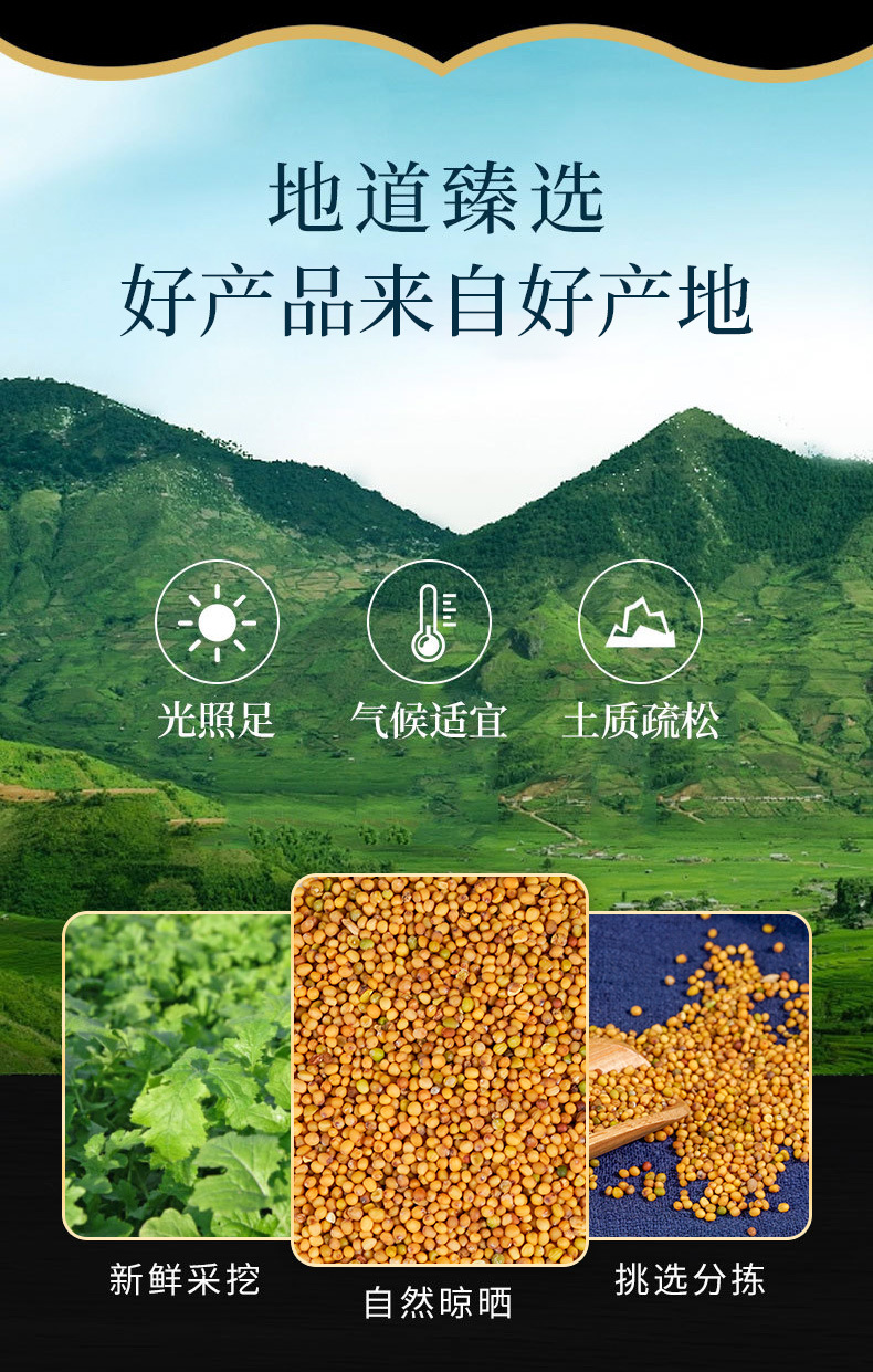 Yellow Mustard Seed (Sinapis alba) — Dried Food-Herb Seed, 500g, Custom Milling Available overview