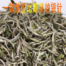 2022年福鼎白毫银针毫香蜜韵500g散装白茶产区茶厂家直供批发特级