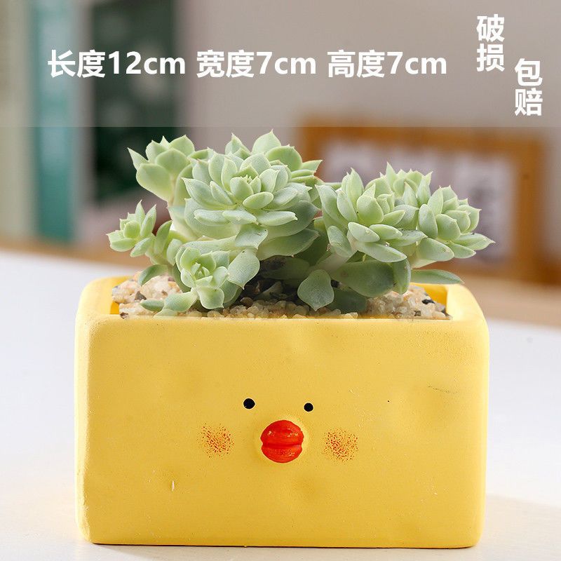 Macetas de cerámica para suculentas con diseño de animales de dibujos animados, pequeño tamaño, para estante de flores en casa, suministro al por mayor
