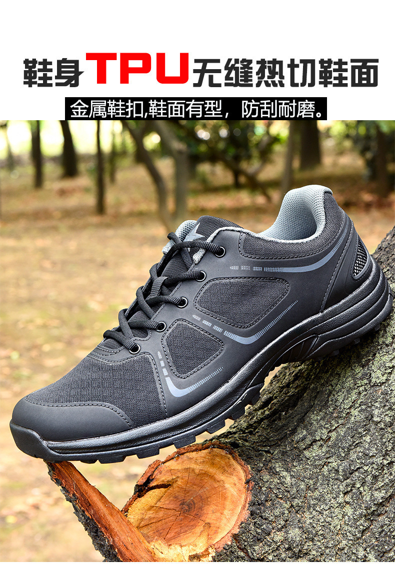 0eea91aa-1ee4-4593-9504-5ba50cc22b8a.jpe
