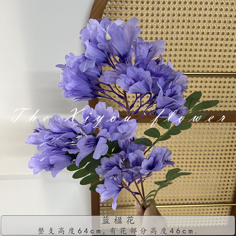 자주색 자카란다 꽃