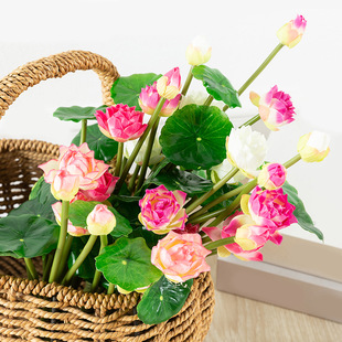 ����ɻ�����ɏ�� �Ӽ��b�ͥԺ�~���b����ٻ�����ֲ�����l