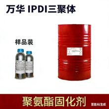 �f�A IPDI HDI ���w�����w ���������T���z𤄩�����w�̻���