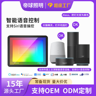 Cross-Border Graffiti Smart Wifi Bluetooth Rgbcw Colorful Floodlight Outdoor Lighting Courtyard Tree Led Floodlight