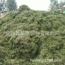 ��ޣ�� �S��ֱ������ϻ���ޣ�ݸɲ��� ������ֲ����������l