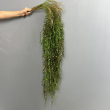 �羳�����ٗl �ȼ����ڒ����Gֲ �ّҒ�ֲ���ٷ����ȼ����ڒ�