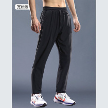 ѝ����ʿ�����ļ��������eѝ�����lѝ��ѝ����2026�ŷ�ѝ���_ѝ��