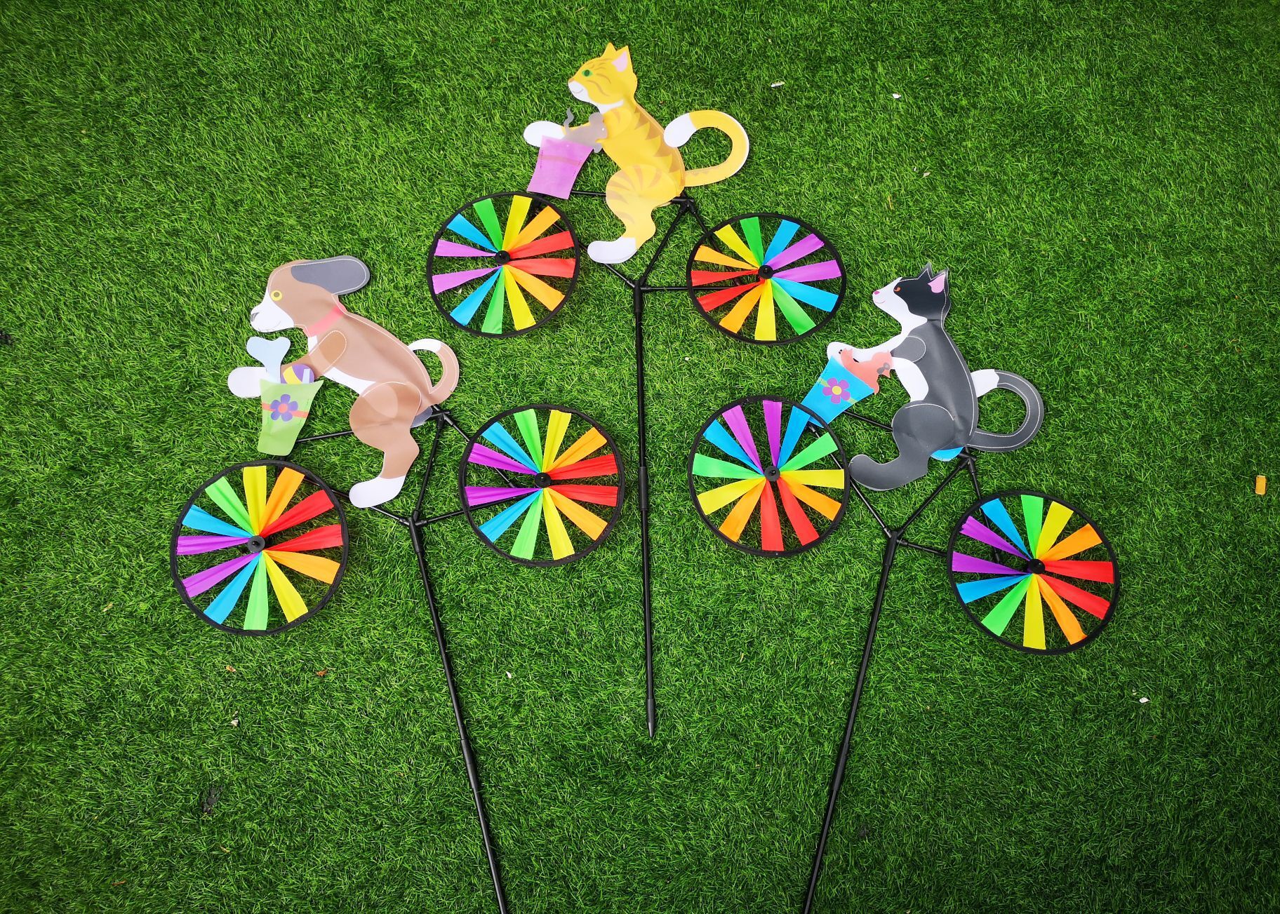 QQ图片20210624101304