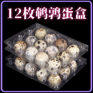 �g�������b��pet͸���z12ö�g����������PVC���Ϻ����l