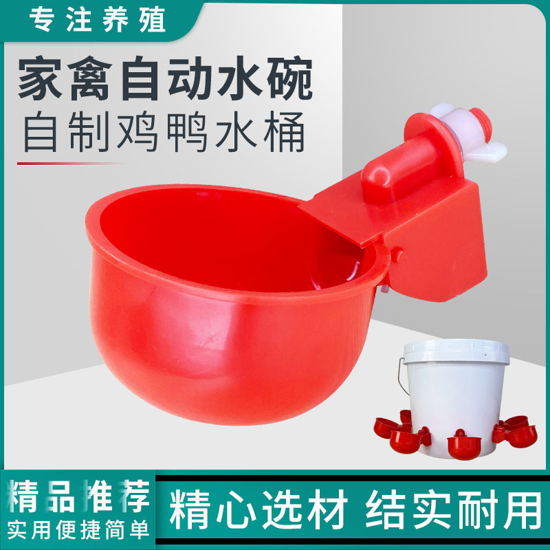 加厚家禽饮水碗全自动养殖水桶通用喂鸡自动饮水器鸡鹅鸭鸽子防掉