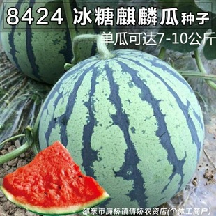 ���8424���ϷN�Ӵ�ȫ�������������ϷN����ԭ�b�N�Ӵ�ȫ���l���l