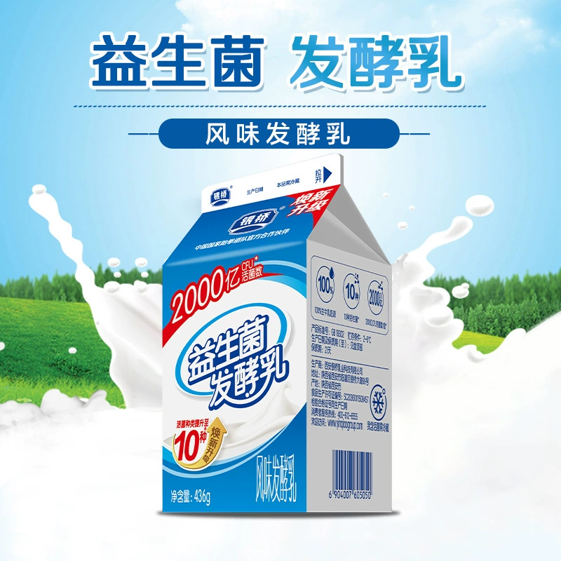 Большой дом Yinqiao с 6 коробками