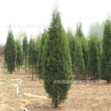 ɴؘ̰ɰļKɂȰ·ɰl