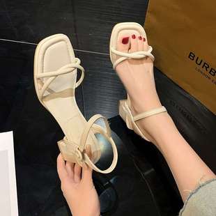 High-Heeled Sandals for Women 2025 New Summer Thick Heel Fashion One-Line Strap French Style with Skirt Medium Heel Elegant Square Heel