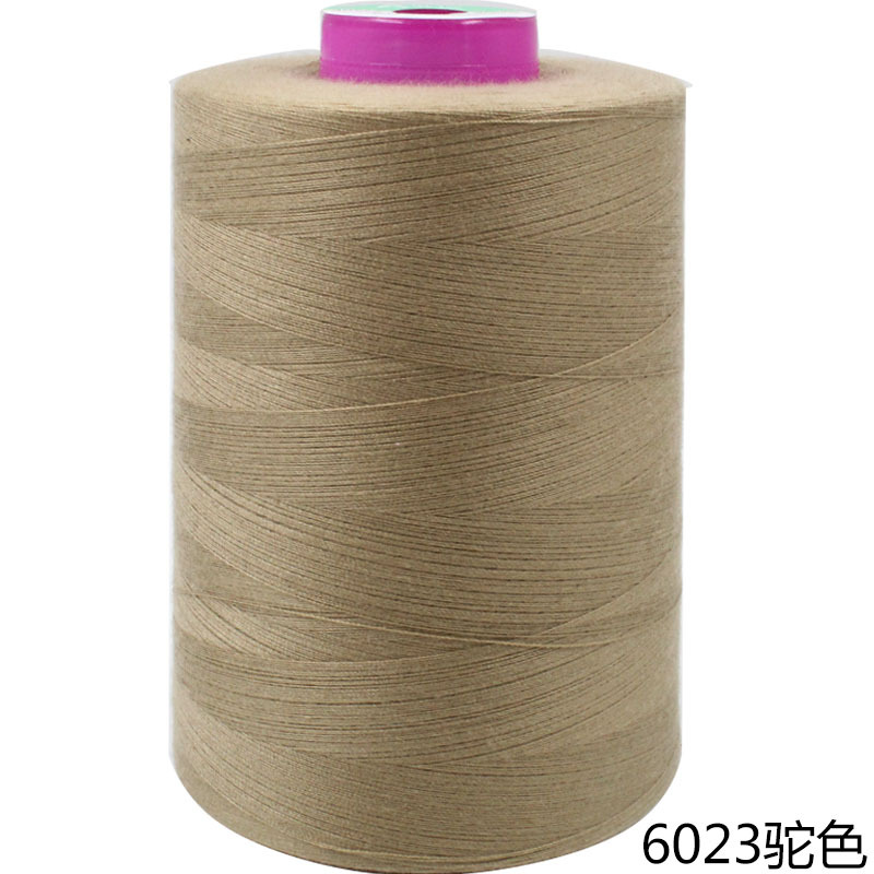 6023 카멜 * 40s/2 8000y
