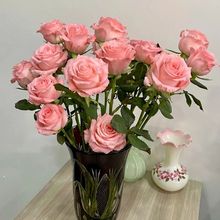 40֦��ɫ������Ӱ��õ��õ���r��������ϻ���ֱ�l�r�л����l�滨