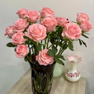 40֦��ɫ������Ӱ��õ��õ���r��������ϻ���ֱ�l�r�л����l�滨