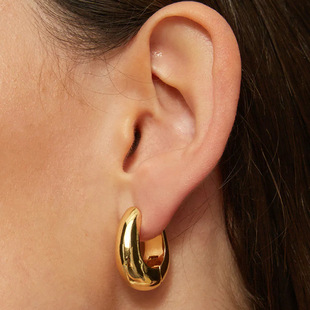 European and American Cross-border Luxury Glossy Ear Buckle Earrings Classic Fashion Explosion Exquisite ins Style Earrings Jewelry Wholesale