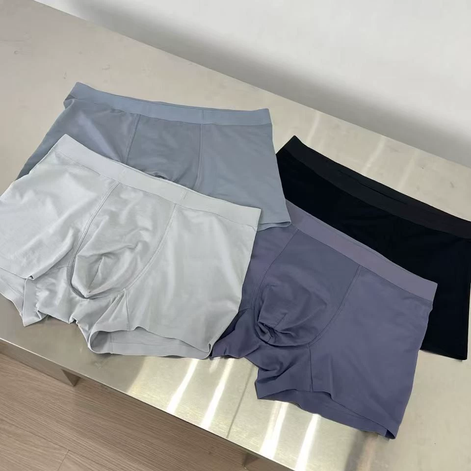 Мужские Ransin Modal panties 25N1