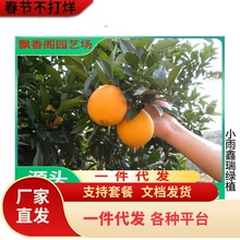 ̨���S���۽ۘ���������������С���R��ӿȪ���٘�o�����٘���