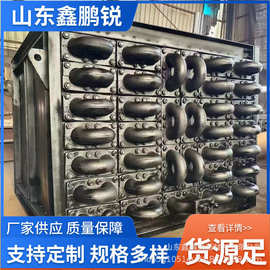 耐高温省煤节能器省煤器2-100吨整台省煤器铸铁省煤器管生产厂家