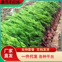 һlɘɰؘȰؙuذؘu繫·G