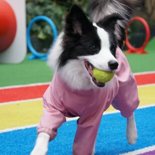 �����·�������ů�_�h�����ϰ��Ǽӽq���_��