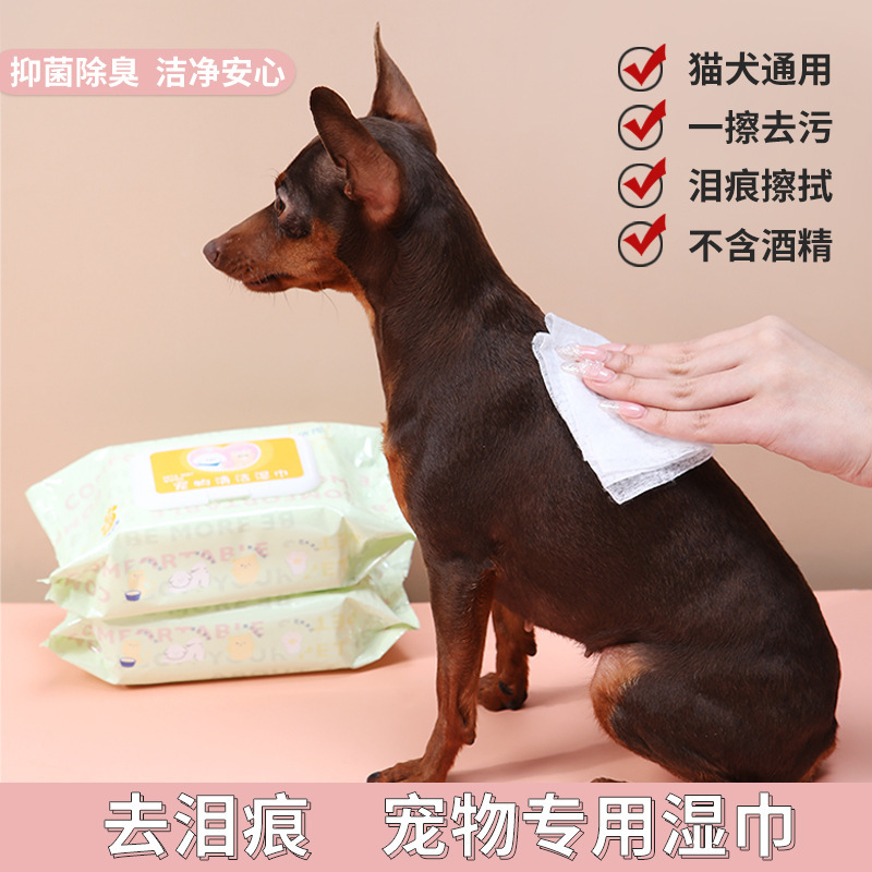 ペット用おしぼり80吸い猫犬専用洗い流さないでください。体の部分をきれいにしてください。|undefined