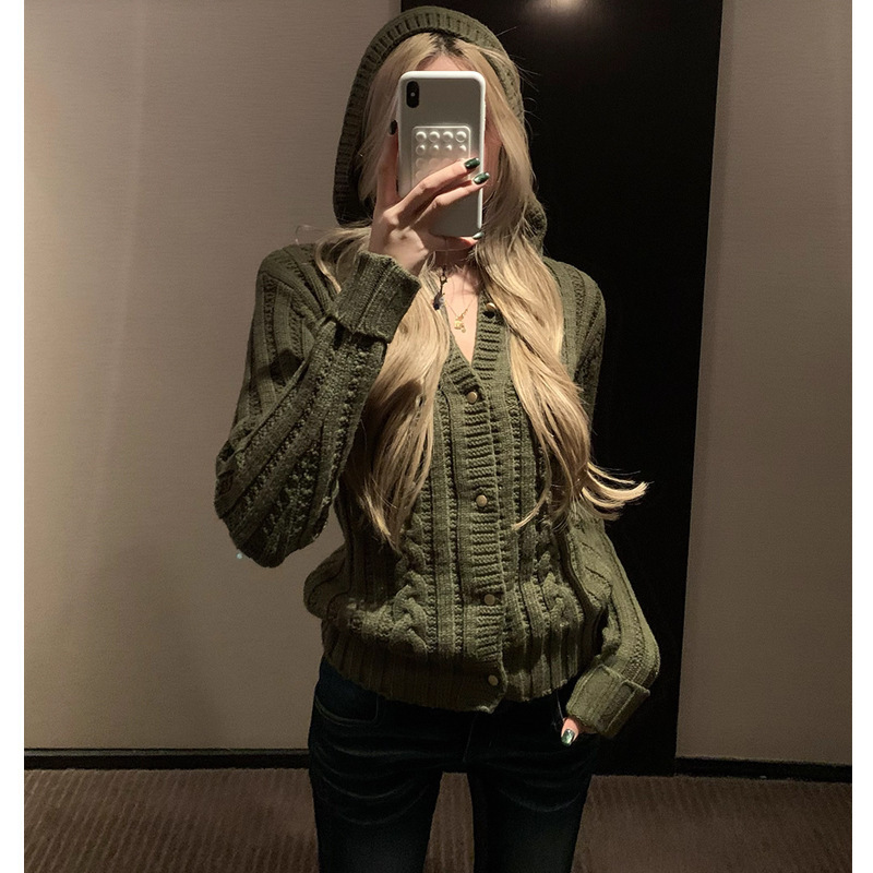 Bris Aesthetic Hooded Knitwear Cardigan Women's Winter 2025 New Long-Sleeved Slim V-Neck Knitwear 2025 New Style