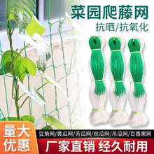 ���پW�r��ֲ��ɽș�S���㶹��϶��ǽz�ϵ��ϰ���������W�Nֲ�W