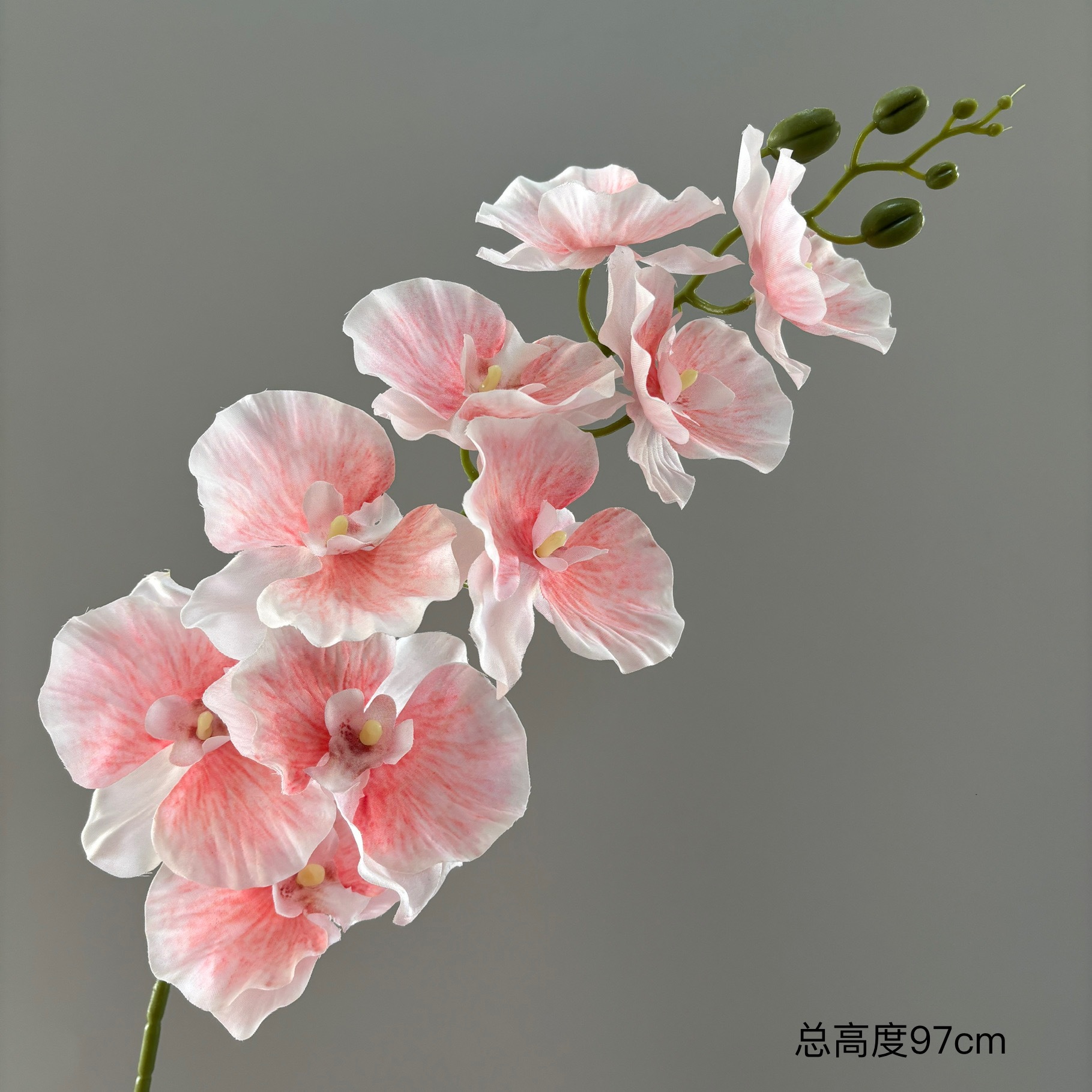 분홍색