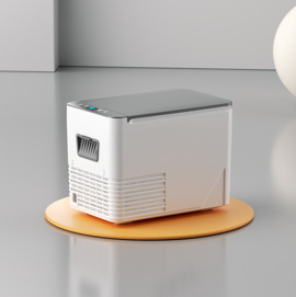 Sast Mini Refrigerator Freezer Refrigerated Car Home Dormitory Breast Milk Makeup Mirror Mask Small Freezer