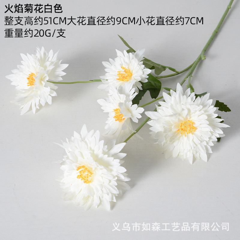 Crisantemo llama blanco