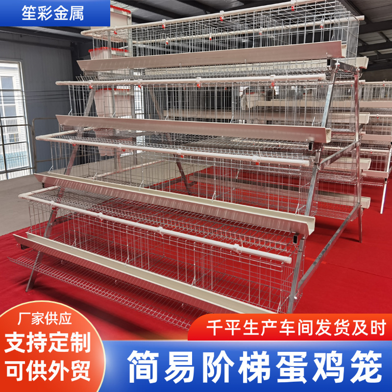 Capacidad de cría de gallinas de huevos de cuatro capas y cuatro puertas de gallinas para criar gallinas de huevos de huevos de tanque de alimentación verde de tanque de alimentación blanco equipo de cría