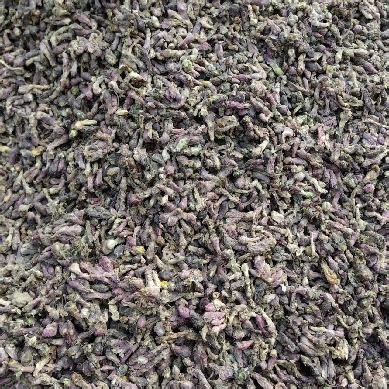 Dried Tussilago Flower Bud Kuan Dong Hua Tussilago farfara Traditional Chinese Herb 500g Sulfur-Free specifications