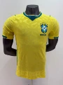 26-27 brazil home