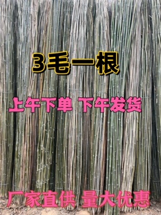 ✅ Bamboo Poles for Garden Trellis, Various Vegetable Stands, Loofah Stands, Cucumber Stands, Bean Stands, Tomato Stands, Climbing Vine Stands, Colorful Flags