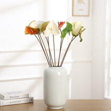 ���滨�͏d����t���҃ȷ���ֲ���bzӰ���߼��������ϾGֲ�辰