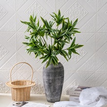 �����������滨�ٻ��Gֲ�����l��c�b�INS�L�羳�S��MW45001