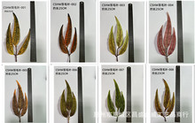 ���R�d����Gֲ�zӡ�~����羳�����ë�~����uצ�~������~����